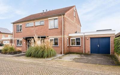 Groenling 3