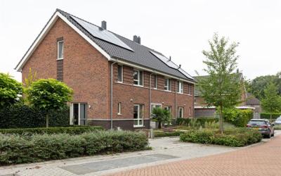 Blaauwgeers. 17