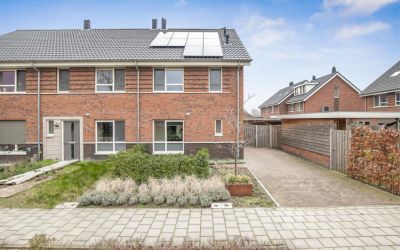 Blaauwgeers. 21
