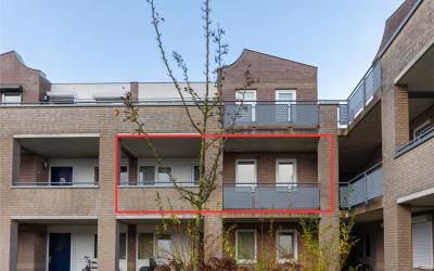 Bulten 20