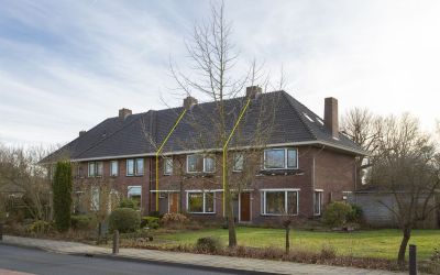 Haaksbergse. 116
