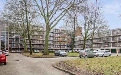 Berkenlaan 191