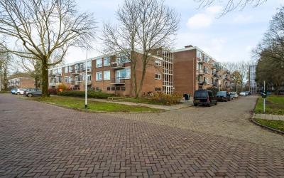 Berkenlaan 229