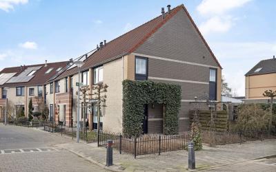 Heintje Dav. 2