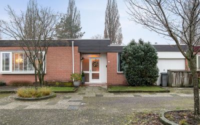 Hoog Barge 8