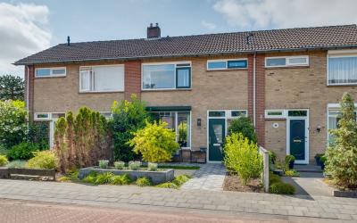 Het Wilgert 50