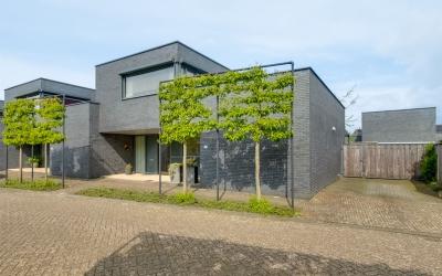 Frans Halsl. 2