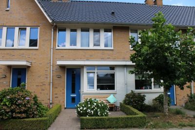 Paardenbloem 22