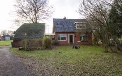Needse Tolw. 2