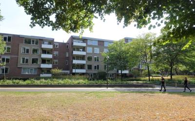 Beekpark 93