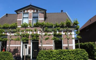 Veldhuisstraat 30