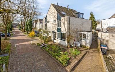 De Haasstra. 24