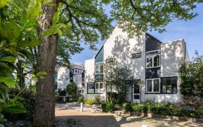 De Haasstra. 26
