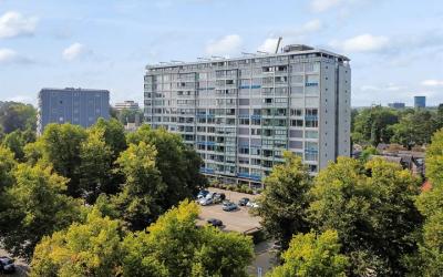 Loolaan 41-163