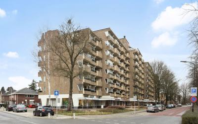 Koning Lode. 206