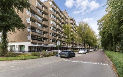 Koning Lode. 240