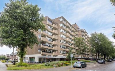 Koning Lode. 250