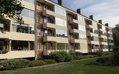 Koning Lode. 558