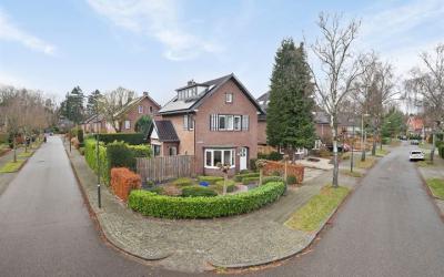 Waltersingel 49