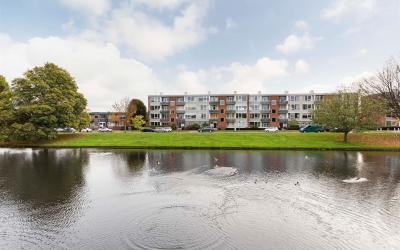 Moeflonstraat 41
