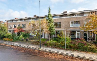 Boerhaavest. 78