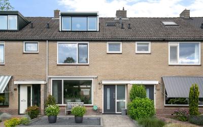 Hoornbloem 67