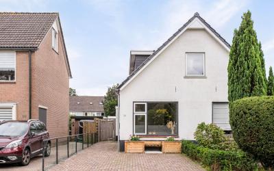 Hoornbloem 58