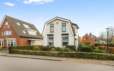 Zilverschoon 20