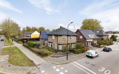 Pinksterbloem 1