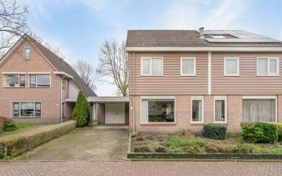 Vlierbessen. 11
