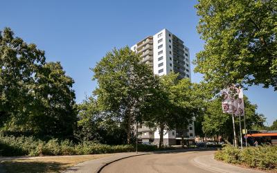 Korianderst. 106