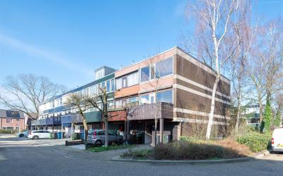 Anijsstraat 19