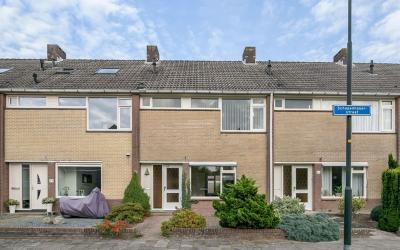 Schopenhaue. 61