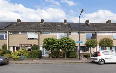 Schopenhaue. 169