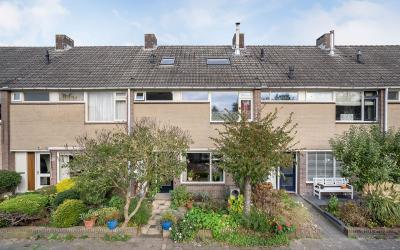 Schopenhaue. 195