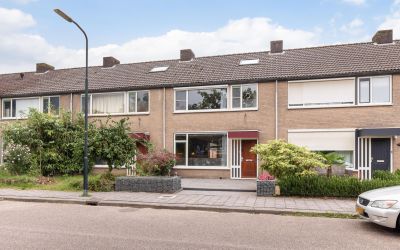 Schopenhaue. 271