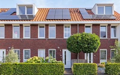 Mambohof 26