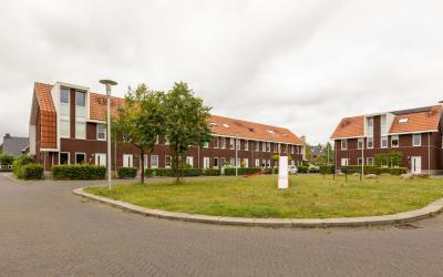 Mambohof 13