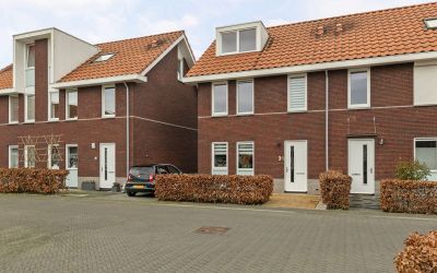 Mambohof 31