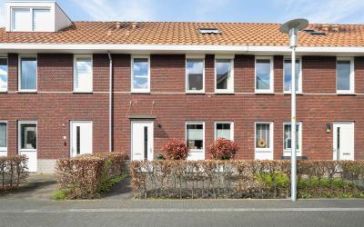Mambohof 33