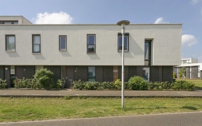 Vuurvlinder 12