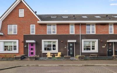 Ridderzwam 117