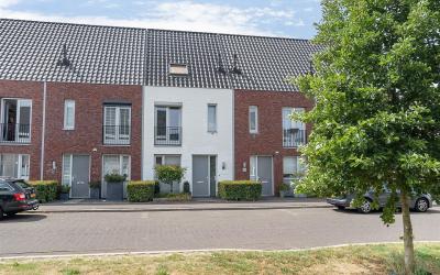 Ridderzwam 175