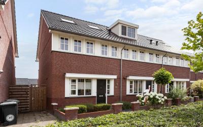 Oesterzwam 50