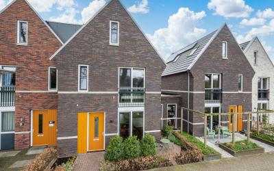 Hermelijn 61
