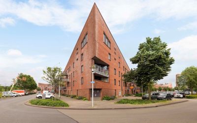 Linie 491