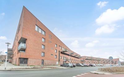 Linie 553