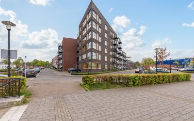 Ravelijn 294