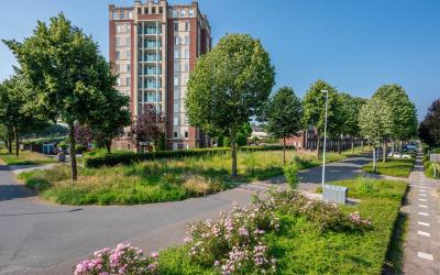 Kasteellaan 103