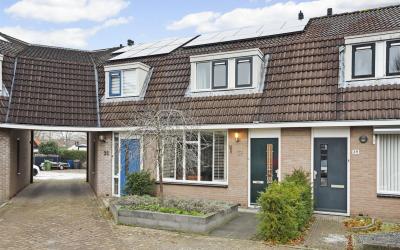 Mansardehof 37